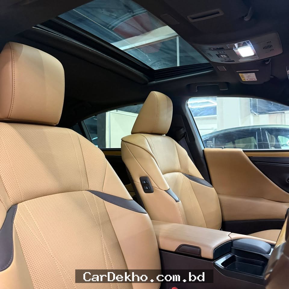 LEXUS ES 300H 2020  - Gallery Image 6