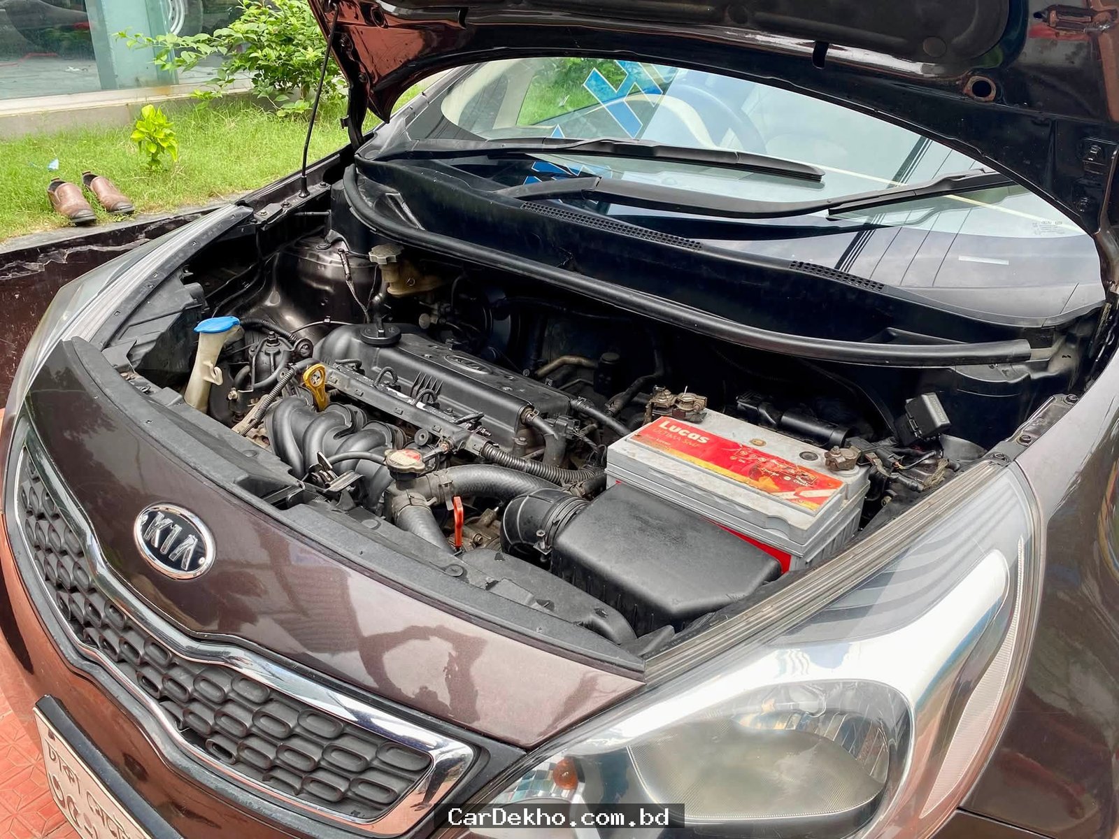 KiA RiO 2014 - Gallery Image 5